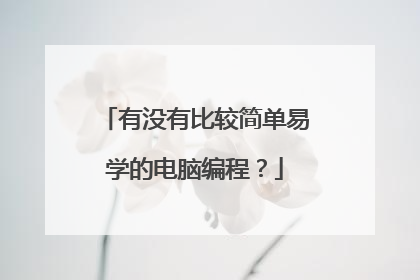 有没有比较简单易学的电脑编程?