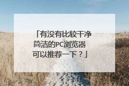 有没有比较干净简洁的PC浏览器可以推荐一下？