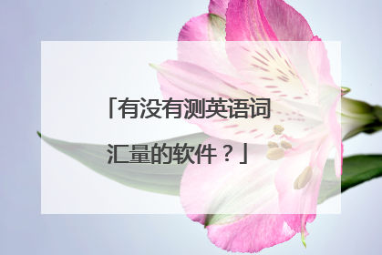 有没有测英语词汇量的软件？