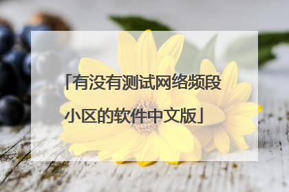 有没有测试网络频段小区的软件中文版