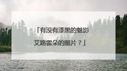 有没有漆黑的魅影艾路雷朵的图片？