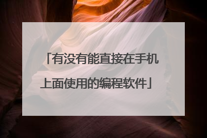 有没有能直接在手机上面使用的编程软件