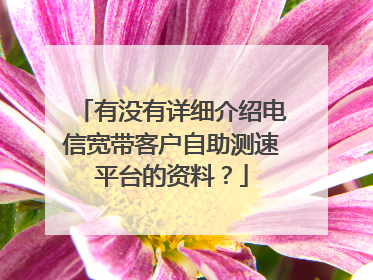 有没有详细介绍电信宽带客户自助测速平台的资料?