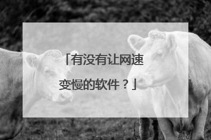 有没有让网速变慢的软件？