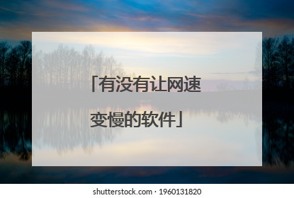 有没有让网速变慢的软件
