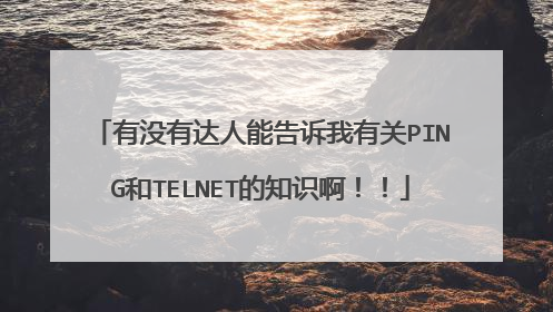 有没有达人能告诉我有关PING和TELNET的知识啊！！