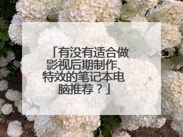 有没有适合做影视后期制作、特效的笔记本电脑推荐？