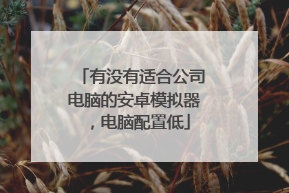 有没有适合公司电脑的安卓模拟器,电脑配置低