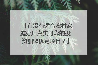 有没有适合农村家庭办厂真实可靠的投资加盟优秀项目?