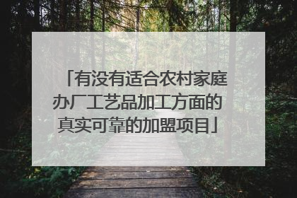 有没有适合农村家庭办厂工艺品加工方面的真实可靠的加盟项目
