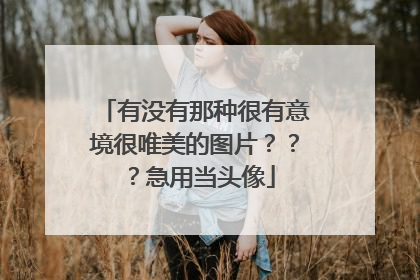 有没有那种很有意境很唯美的图片？？？急用当头像