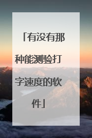 有没有那种能测验打字速度的软件