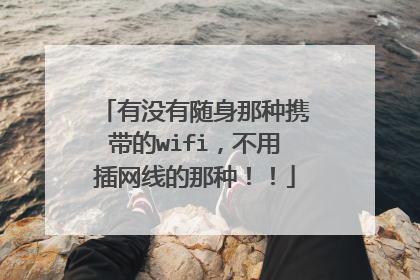 有没有随身那种携带的wifi,不用插网线的那种!!