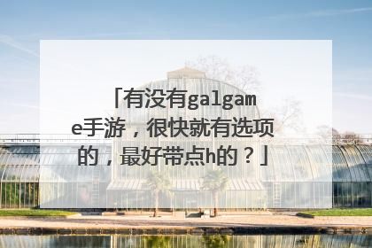 有没有galgame手游,很快就有选项的,最好带点h的?