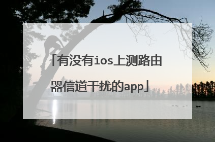 有没有ios上测路由器信道干扰的app