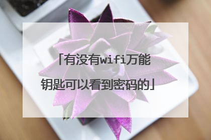有没有wifi万能钥匙可以看到密码的