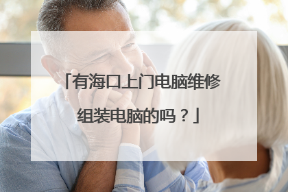 有海口上门电脑维修 组装电脑的吗?
