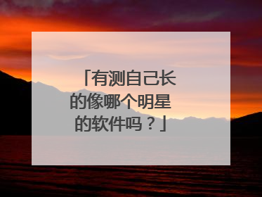 有测自己长的像哪个明星的软件吗?