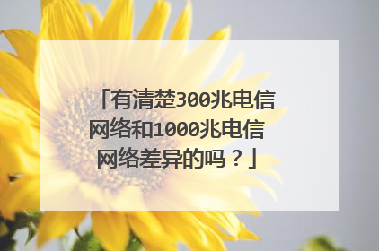 有清楚300兆电信网络和1000兆电信网络差异的吗？