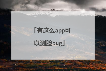 有这么app可以测脸bug