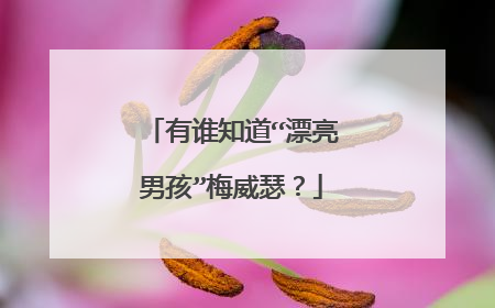 有谁知道“漂亮男孩”梅威瑟？