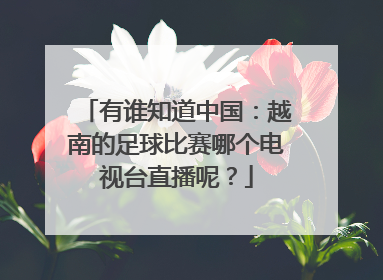 有谁知道中国：越南的足球比赛哪个电视台直播呢？