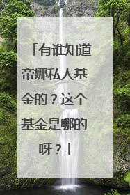 有谁知道帝娜私人基金的?这个基金是哪的呀?