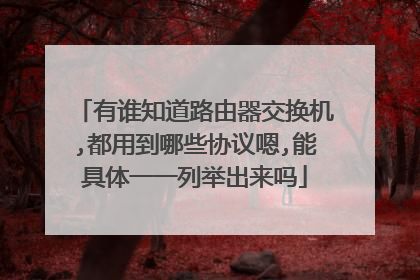有谁知道路由器交换机,都用到哪些协议嗯,能具体一一列举出来吗