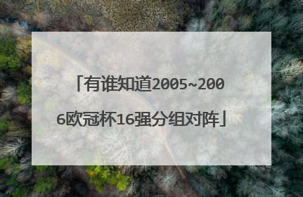 有谁知道2005~2006欧冠杯16强分组对阵