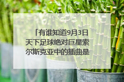 有谁知道9月3日天下足球绝对巨星索尔斯克亚中的插曲是什么名字?