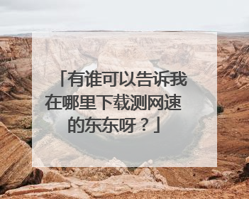 有谁可以告诉我在哪里下载测网速的东东呀?