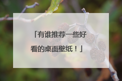 有谁推荐一些好看的桌面壁纸！
