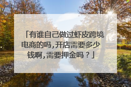 有谁自己做过虾皮跨境电商的吗,开店需要多少钱啊,需要押金吗?
