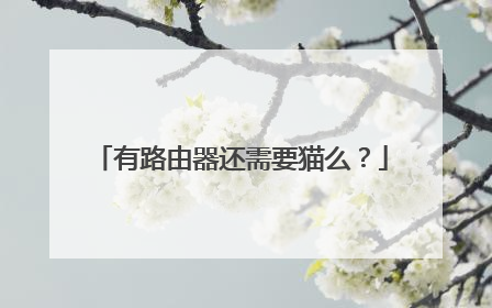 有路由器还需要猫么？