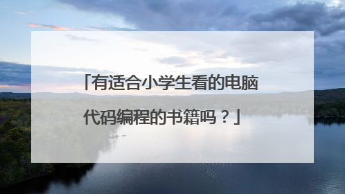 有适合小学生看的电脑代码编程的书籍吗？