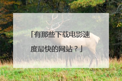 有那些下载电影速度最快的网站?