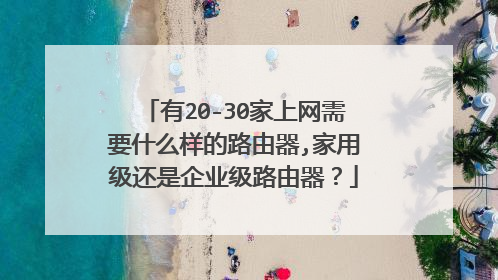 有20-30家上网需要什么样的路由器,家用级还是企业级路由器？