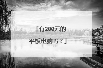 有200元的平板电脑吗?