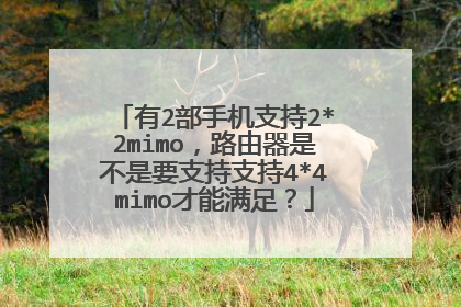 有2部手机支持2*2mimo,路由器是不是要支持支持4*4mimo才能满足?