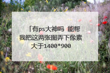 有ps大神吗 能帮我把这两张图弄下像素大于1400*900,越大越好 定制电脑贴纸用急呜呜!