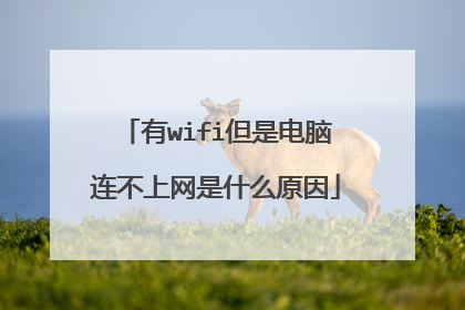 有wifi但是电脑连不上网是什么原因