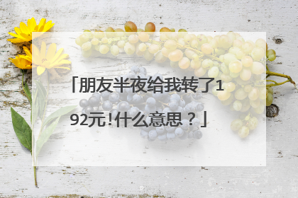 朋友半夜给我转了192元!什么意思?