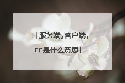 服务端,客户端,FE是什么意思