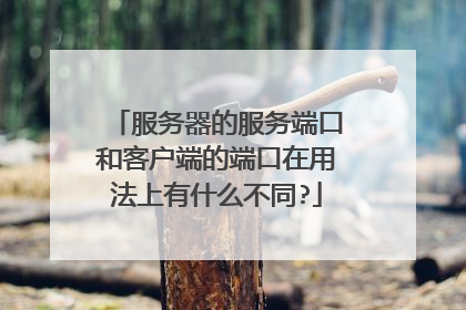 服务器的服务端口和客户端的端口在用法上有什么不同?