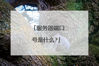 服务器端口号是什么?