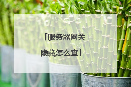 服务器网关隐藏怎么查