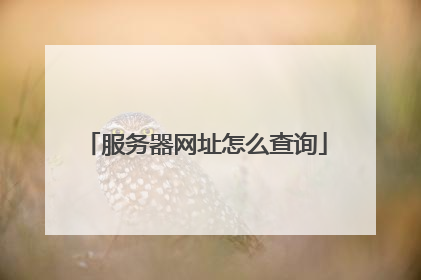 服务器网址怎么查询