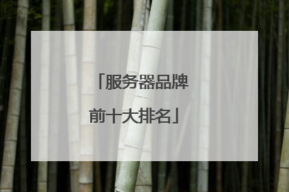 服务器品牌前十大排名
