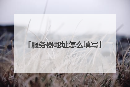 服务器地址怎么填写
