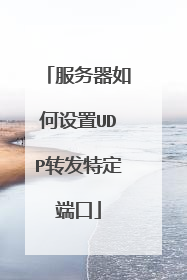 服务器如何设置UDP转发特定端口